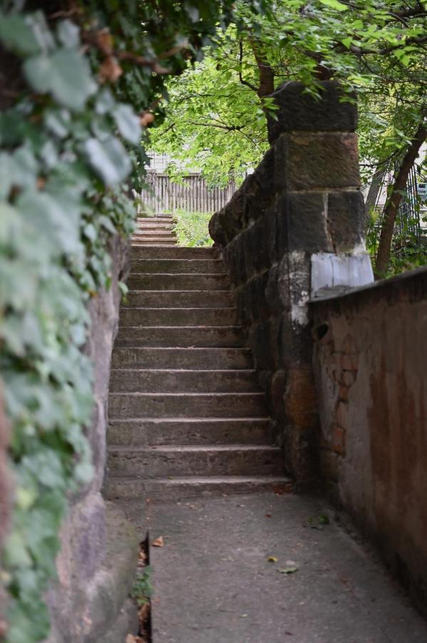 Quiet Haven In The Middle Of The City Budapest Esterno foto